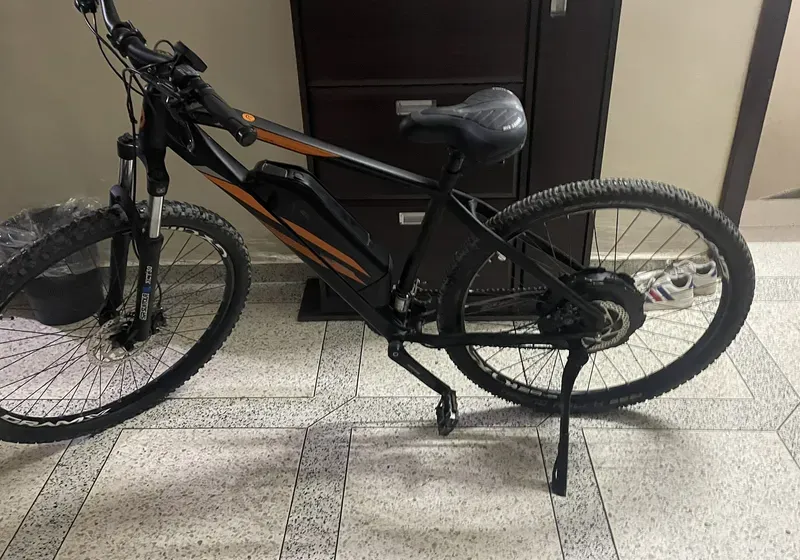 Electric bike Prophete Graveler