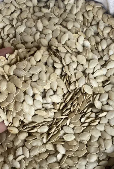 Pistachios  Sunflower seeds Pumpkin seeds Walnut