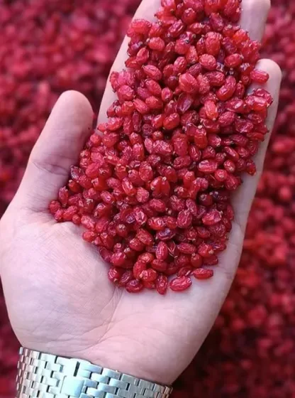 الزّرْشُك الإيراني الأصيل والعالي الجودة  Original and high-quality Iranian barberry