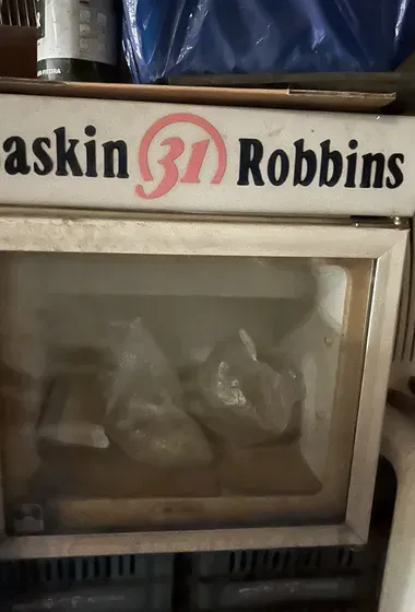 Freezer Baskin robbins