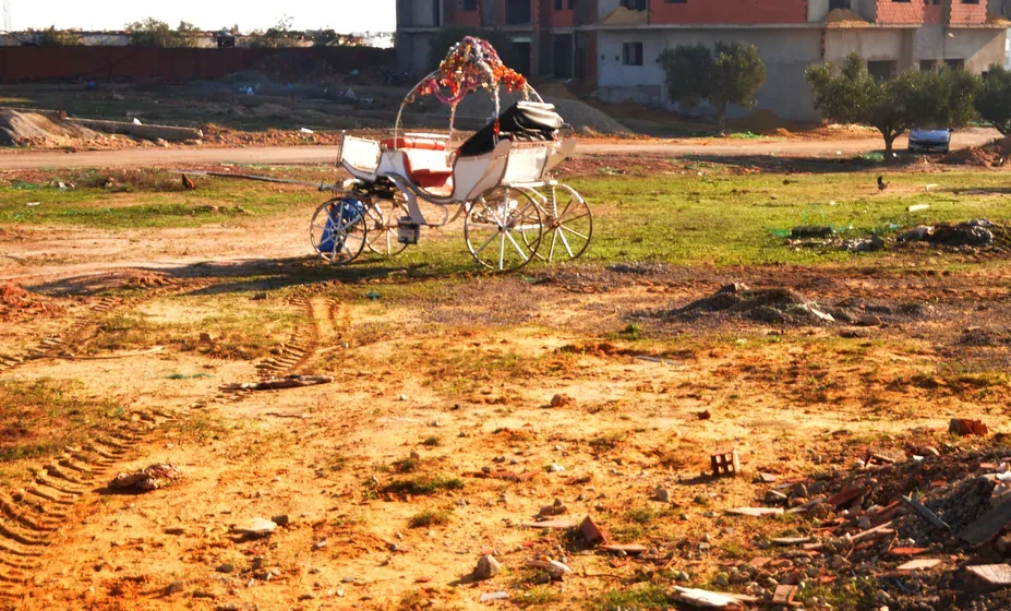 أرض بالحمامات الجنوبية (بير لبيتة)